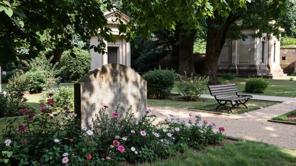10 plantes idéales pour embellir durablement un cimetière