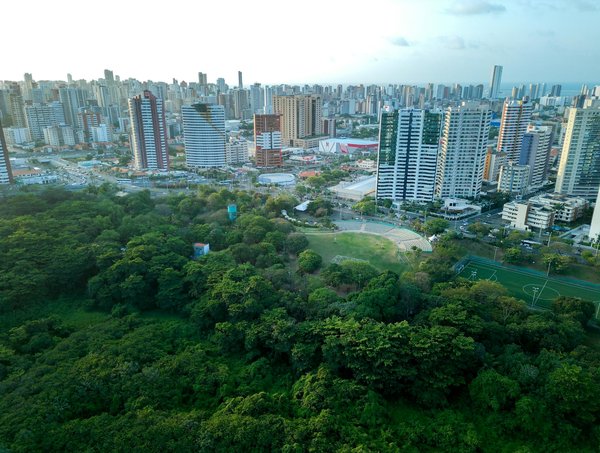 Panneau solaire photovoltaïque : les avantages à découvrir