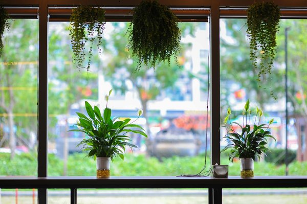 La Gestion du Suivi des Patients en Pleine Pandémie de Covid-19 : Défis et Innovations